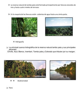  La reserva natural de tambo pata está formada principalmente por llanuras aluviales de
tres y hasta cuatro niveles de terrazas.
 En la mayoría de las llanuras están cubiertas de agua hasta una cierta parte.
 Hidrografía
 La principal cuenca hidrográfica de la reserva natural tambo pata y sus principales
afluentes:
Chivile, Azul, Blanco, Inambari, Tambo pata y Colorado que tributan por su margen.
  Biodiversidad
 Flora
 