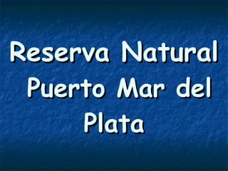 Reserva Natural  Puerto Mar del Plata 
