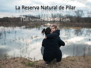 La Reserva Natural de Pilar
Y Los húmedales del Rio Luján.
 