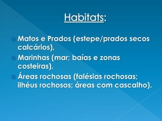 Habitats: Matos e Prados (estepe/prados secos calcários), Marinhas (mar; baías e zonas costeiras), Áreas rochosas (falésias rochosas; ilhéus rochosos; áreas com cascalho).