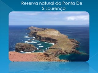 Reserva natural da Ponta De S.Lourenço