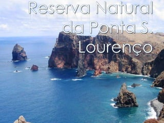 Reserva Natural da Ponta S. Lourenço 
