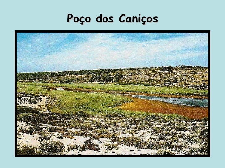 Consultas sobre plasticidade de um peito