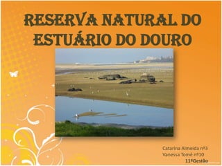 Reserva Natural do
 Estuário do Douro




              Catarina Almeida nº3
              Vanessa Tomé nº10
                         11ºGestão
 