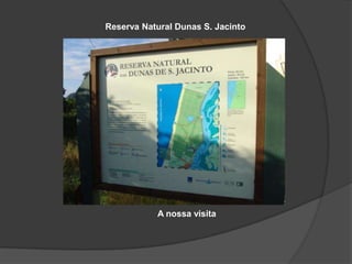 Reserva NaturalDunas S. Jacinto A nossa visita 