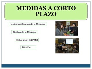 Institucionalización de la Reserva


  Gestión de la Reserva


     Elaboración del PMM


           Difusión
 