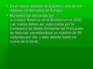 Es el mayor robledal de España y uno de los 
  mejores conservados de Europa.
 Munieḷḷos fue declarado por 
  la Unesco Reserva de la Biosfera en el 2000. 
  Las Visitas deben ser autorizadas por la 
  Consejería de Medio Ambiente del Principado 
  de Asturias, permitiéndose un máximo de 20 
  visitantes por día, y está abierto hasta las 
  nueve de la tarde.
 