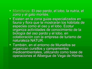  Mamíferos: El oso pardo, el lobo, la nutria, el 
  zorro y el gato montés.
 Existen en la zona guias especializados en 
  fauna y flora que te mostrarán los hábitats de 
  especies como el oso y el lobo. Ecotur 
  organiza actividades de conocimiento de la 
  biología del oso pardo y el lobo, en 
  colaboración con la empresa de turismo de 
  naturaleza NATUR.
 También, en el entorno de Muniellos se 
  organizan cursillos y campamentos 
  medioambientales, utilizando como base de 
  operaciones el Albergue de Vega de Hórreo.
 