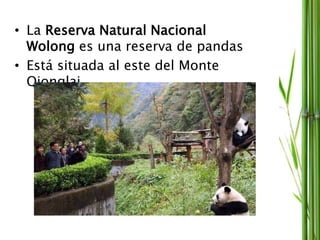 • La Reserva Natural Nacional
Wolong es una reserva de pandas
• Está situada al este del Monte
Qionglai
 
