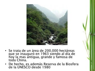 • Se trata de un área de 200.000 hectáreas
que se inauguró en 1963 siendo al día de
hoy la mas antigua, grande y famosa de
toda China.
• De hecho, es además Reserva de la Biosfera
de la UNESCO desde 1980
 