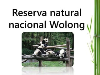 Reserva natural
nacional Wolong
 
