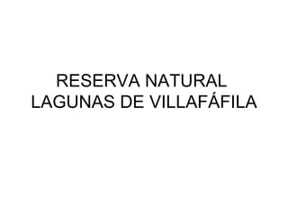 RESERVA NATURAL
LAGUNAS DE VILLAFÁFILA
 