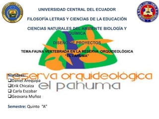 UNIVERSIDAD CENTRAL DEL ECUADOR
FILOSOFÍA LETRAS Y CIENCIAS DE LA EDUCACIÓN
CIENCIAS NATURALES DEL AMBIENTE BIOLOGÍA Y
QUÍMICA
DISEÑO DE PROYECTOS
TEMA:FAUNA VERTEBRADA EN LA RESERVA ORQUIDEOLÓGICA
“EL PAHUMA”
Nombres:
Daniel Arequipa
Erik Chicaiza
 Carla Escobar
Geovana Muñoz
Semestre: Quinto “A”
 