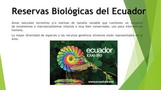 Reservas Biológicas del Ecuador
Áreas naturales terrestres y/o marinas de tamaño variable que contienen un conjunto
de ecosistemas o macroecosistemas intactos o muy bien conservados, con poca intervención
humana.
La mayor diversidad de especies y los recursos genéticos silvestres están representados en el
área.
 