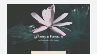 La Reservas Forestales
Marielyz González – Alicia Ibargüen
 