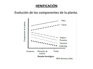 Evolución de los componentes de la planta.
HENIFICACIÓN
 