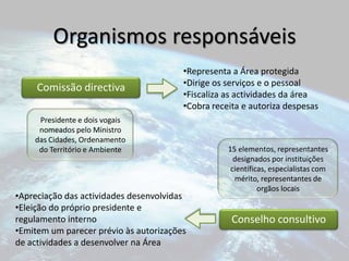Comissão directivaConselho consultivoOrganismos responsáveisRepresenta a Área protegida