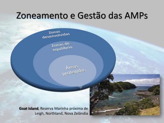 Eleição do próprio presidente e regulamento interno