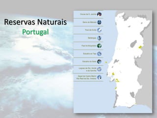 Convenção da Conservação da BiodiversidadeA 9ª Conferência das Partes (COP 9), decorreu de 19 a 30 de Maio de 2008, em Bona, na Alemanha, sob o lema: “One Nature – One World – Our Future”. Esta Conferência foi a última antes de 2010, ano estabelecido como meta para se reduzir significativamente a perda da biodiversidade.Para identificação de áreas marinhas ecológica ou biologicamente significativas e concepção de redes representativas de áreas marinhas protegidas em oceano aberto e mar profundo