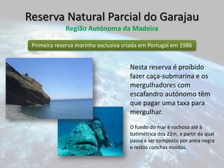 Zoneamento e Gestão das AMPsGoat Island, Reserva Marinha próxima de Leigh, Northland, Nova Zelândia