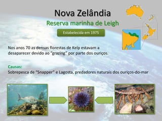 Zoneamento e Gestão das AMPsUtilização múltipla implica uma divisão de poder.