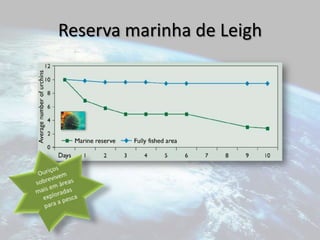 Educação de todos os usuários deste espaço (compreensão da política ambiental).Teoricamente as redes de reservas marinhas deveriam cobrir cerca de 20-40% de todo o oceanoDimensionamentoLimitesAs grandes reservas têm uma melhor change de recuperar de uma catástrofe (derrames, furacões, etc.)Para proteger migradores as reservas devem localizar-se em locais significativos para estes (fontes de alimentação, locais onde estão mais vulneráveis)Espaço entre reservasAs reservas marinhas devem estar suficientemente perto para permitir que as populações, que abandonem a reserva de origem, se possam estabelecer noutra Considerações a nível ecológico, também devemos ter em conta o aspecto socioeconómico