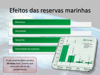 Efeitos das reservas marinhasTruta coral de 60cm produz 10 vezes mais  juvenis que uma com 40 cm de comprimento