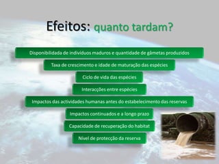 Efeitos: quanto tardam?