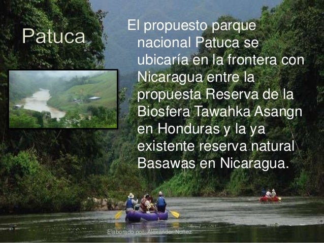 Resultado de imagen para Parque Nacional Patuca