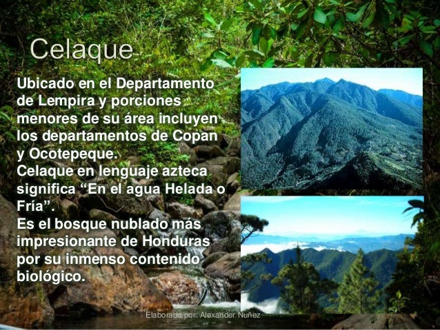 Resultado de imagen para parque nacional celaque