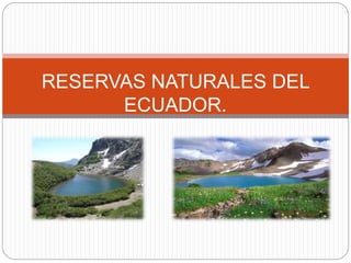 RESERVAS NATURALES DEL
ECUADOR.
 