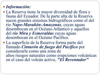  Información:
 La Reserva tiene la mayor diversidad de flora y
fauna del Ecuador. De la parte alta de la Reserva
nacen grandes sistemas hidrográficos como el del
río Napo-Marañón-Amazonas, cuyas aguas
desembocan en el Océano Atlántico y aquellos
del río Mira y Esmeraldas cuyas aguas
desembocan en el Océano Pacífico.
 La superficie de la Reserva forma parte del
llamado Cinturón de fuego del Pacífico por
considerarla como una zona de
altos riesgos naturales como erupciones volcánicas
en el caso del volcán activo, "El Reventador"
 