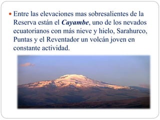  Entre las elevaciones mas sobresalientes de la
Reserva están el Cayambe, uno de los nevados
ecuatorianos con más nieve y hielo, Sarahurco,
Puntas y el Reventador un volcán joven en
constante actividad.
 
