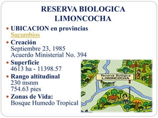 RESERVA BIOLOGICA
LIMONCOCHA
 UBICACION en provincias
Sucumbíos
 Creación
Septiembre 23, 1985
Acuerdo Ministerial No. 394
 Superficie
4613 ha - 11398.57
 Rango altitudinal
230 msnm
754.63 pies
 Zonas de Vida:
Bosque Humedo Tropical
 