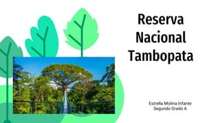 Reserva
Nacional
Tambopata
Estrella Molina Infante
Segundo Grado A
 