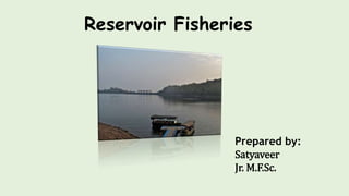 Reservoir Fisheries
Prepared by:
Satyaveer
Jr. M.F.Sc.
 