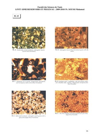 Faculté des Sciences de Tunis
 LFST3 :RME/RESERVOIRS ET PIEGES/AU : 2009-2010/ Pr. SOUSSI Mohamed


Pl. 15




                                                                      16
 