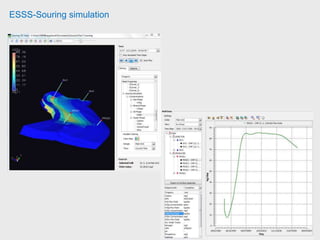 ESSS-Souring simulation
 