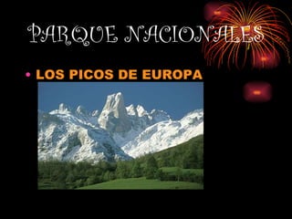 PARQUE NACIONALES LOS PICOS DE EUROPA 