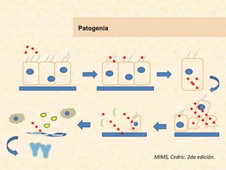 Patogenia
MIMS, Cedric. 2da edición.
 