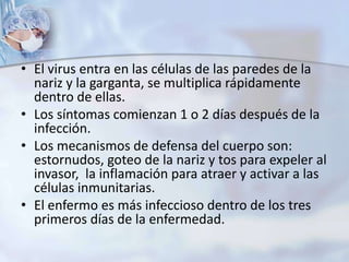 • El virus entra en las células de las paredes de la
nariz y la garganta, se multiplica rápidamente
dentro de ellas.
• Los síntomas comienzan 1 o 2 días después de la
infección.
• Los mecanismos de defensa del cuerpo son:
estornudos, goteo de la nariz y tos para expeler al
invasor, la inflamación para atraer y activar a las
células inmunitarias.
• El enfermo es más infeccioso dentro de los tres
primeros días de la enfermedad.
 