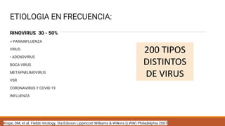 ETIOLOGIA EN FRECUENCIA:
RINOVIRUS 30 - 50%
> PARAINFLUENZA
VIRUS
• ADENOVIRUS
BOCA VIRUS
METAPNEUMOVIRUS
VSR
CORONAVIRUS Y COVID 19
INFLUENZA
Knipe, DM, et al. Fields Virology, 5ta Edicion Lippincott Williams & Wilkins (LWW) Philadelphia 2007
200 TIPOS
DISTINTOS
DE VIRUS
 