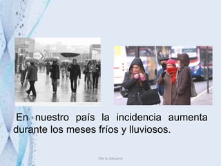 En nuestro país la incidencia aumenta
durante los meses fríos y lluviosos.
Flor A. CArcamo
 
