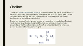 Comprehensive Overview of Lecithin and Choline: Functions, Benefits ...