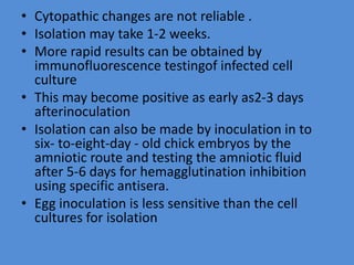 • Cytopathic changes are not reliable .
• Isolation may take 1-2 weeks.
• More rapid results can be obtained by
immunofluorescence testingof infected cell
culture
• This may become positive as early as2-3 days
afterinoculation
• Isolation can also be made by inoculation in to
six- to-eight-day - old chick embryos by the
amniotic route and testing the amniotic fluid
after 5-6 days for hemagglutination inhibition
using specific antisera.
• Egg inoculation is less sensitive than the cell
cultures for isolation
 