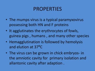 PROPERTIES
• The mumps virus is a typical paramyxovirus
possessing both HN and F proteins
• It agglutinates the erythrocytes of fowls,
guinea pigs , humans , and many other species
• Hemagglutination is followed by hemolysis
and elution at 37⁰C
• The virus can be grown in chick embryos- in
the amniotic cavity for primary isolation and
allantonic cavity after adaption .
 