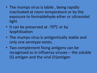 • The mumps virus is labile , being rapidly
inactivated at room temperature or by the
exposure to formaldehyde ether or ultraviolet
light
• It can be preserved at -70⁰C or by
lyophilisation
• The mumps virus is antigentically stable and
only one serotype exists.
• Two complement fixing antigens can be
recognised as in influenza viruses – the soluble
(S) antigen and the viral (V)antigen
 