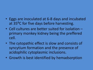 • Eggs are inoculated at 6-8 days and incubated
at 35⁰C for five days before harvesting.
• Cell cultures are better suited for isolation –
primary monkey kidney being the preffered
cell.
• The cytopathic effect is slow and consists of
syncytium formation and the presence of
acidophilic cytoplasmic inclusions.
• Growth is best identified by hemadsorption
 