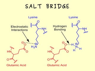 SALT BRIDGE
 