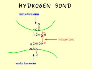 HYDROGEN BOND
 
